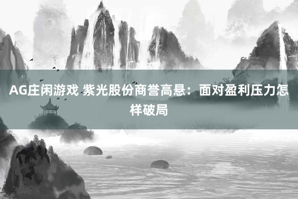 AG庄闲游戏 紫光股份商誉高悬：面对盈利压力怎样破局