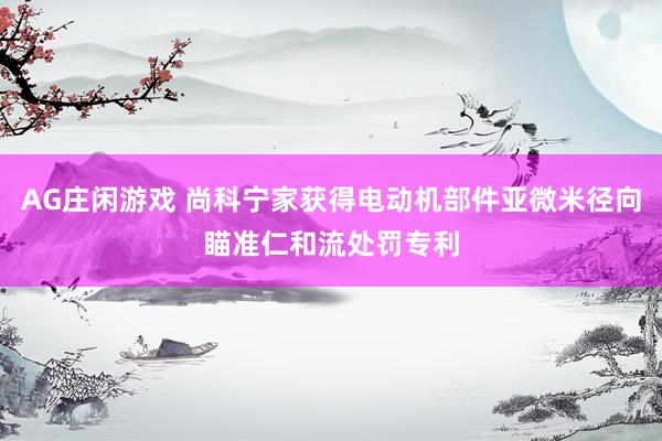 AG庄闲游戏 尚科宁家获得电动机部件亚微米径向瞄准仁和流处罚专利