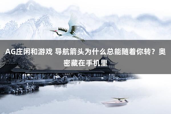 AG庄闲和游戏 导航箭头为什么总能随着你转？奥密藏在手机里