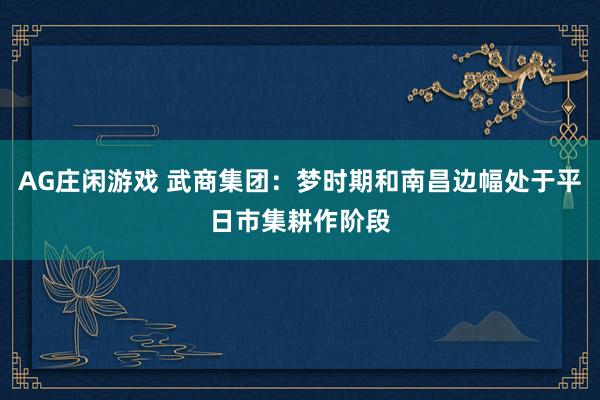 AG庄闲游戏 武商集团：梦时期和南昌边幅处于平日市集耕作阶段