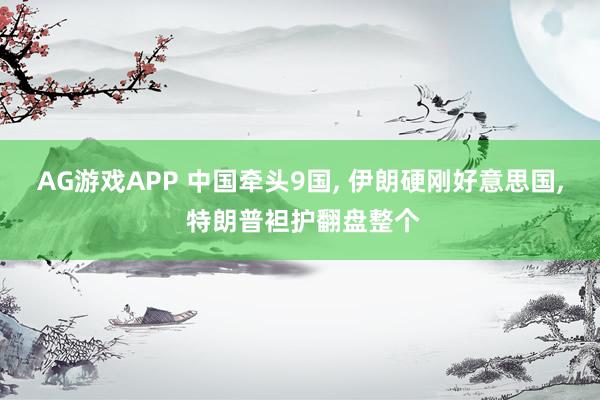 AG游戏APP 中国牵头9国， 伊朗硬刚好意思国， 特朗普袒护翻盘整个