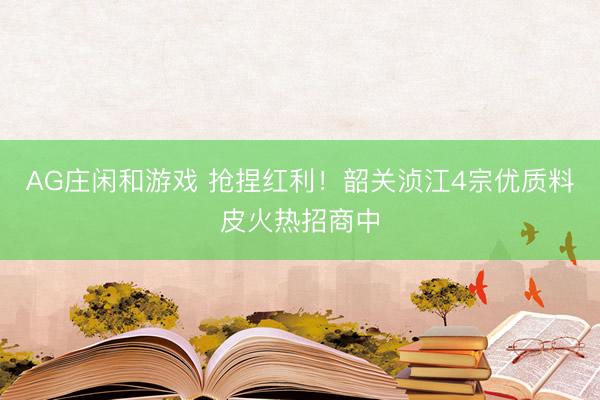 AG庄闲和游戏 抢捏红利！韶关浈江4宗优质料皮火热招商中
